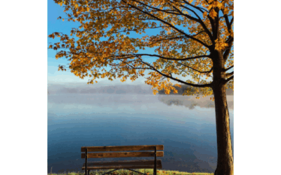 Could you use some comfort in the shadows?