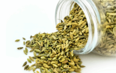 Charlie, I Ate Too Much!