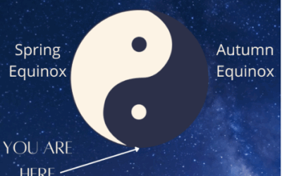 Are you receiving the real gifts of the season?