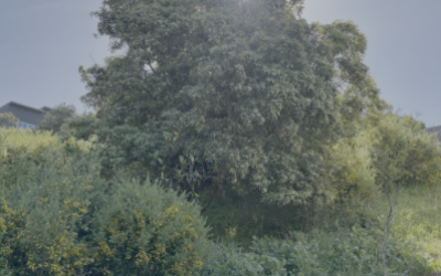 Tired of allergy meds? Here’s what acupuncture can do for seasonal allergies